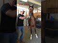 #Horse #chiropractor checks this horse’s incredible range of motion in his #neck! image