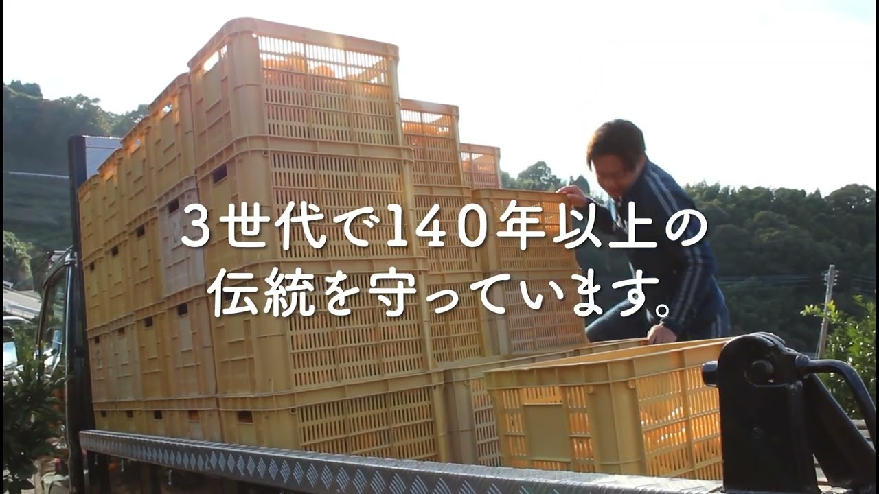 岩城さんのこだわりみかん“とろ蜜柑” 5kg（50～90玉／L～Sサイズ