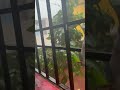 வீட்ல விசேஷம்|| today rain in Chennai