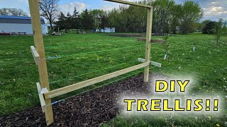 DIY Berry Trellis - let's build it!