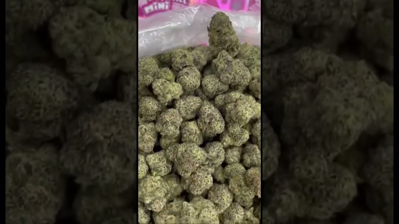 Oops All Mini Pink Blast & Blue Burst Review | Top Cannabis Pre-Rolls 2024 