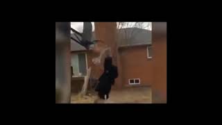 S Cargando Ataúd Los Mejores Memes Ven A Reír