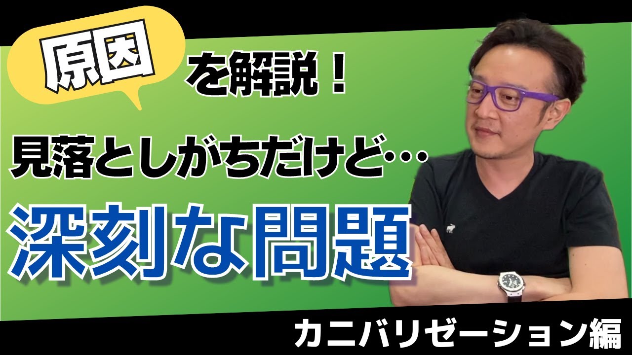 カニバリーゼーションとは/ 柏崎剛チャンネル