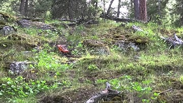 Axial AX10 Deadbolt Running Video w/o Music.