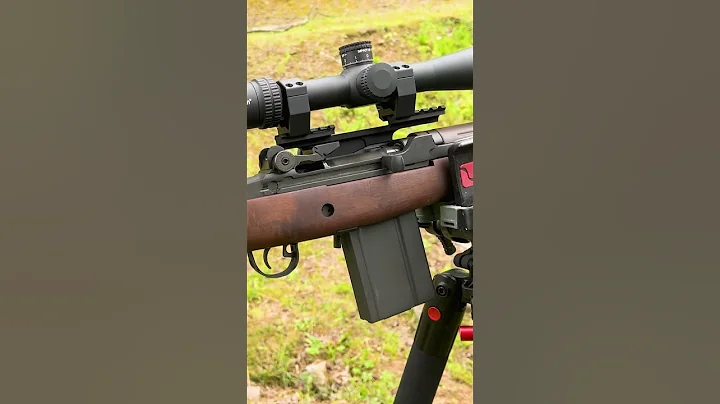 Springfield M1A - The King of Battle Rifles