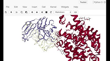 BioPython 3D Structure Analysis