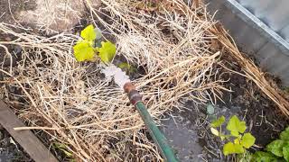 Fluid Vacuum Flow Supressor