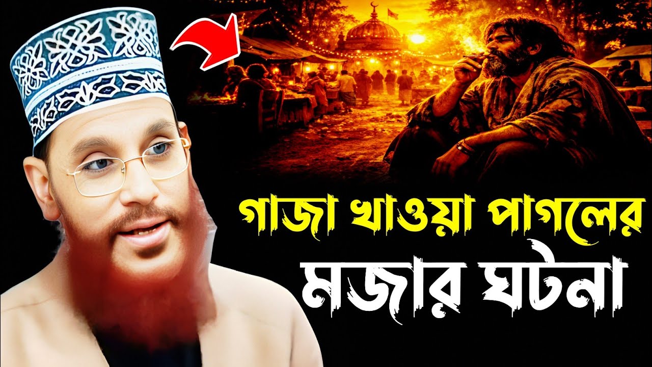 গাজা খাওয়া পাগলের মজার ঘটনা | আল্লামা দেলাওয়ার হোসাইন সাঈদী Delwar Hossain Sayeedi waz