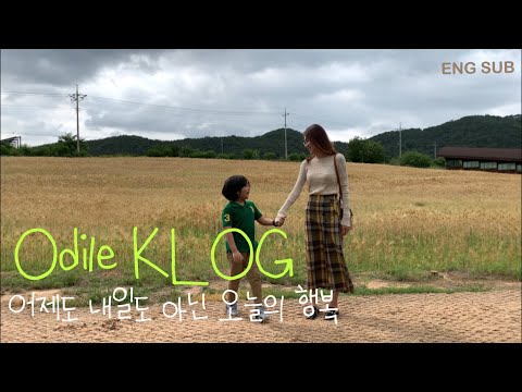 (ENG)Vlog “ <strong>올리브나무</strong> 심기 • 혼자먹는 보리밥 • 부안 청자박물관 • 변산 대명리조트 • Korean mom’s life • celadon • family trip