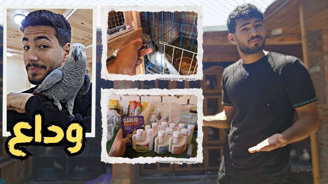 موت الحمام بطريقة غريبة 😳 وجبت حجات كتير من السوق 🧐 وداع دهب