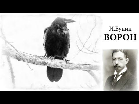 Бунин ворон аудиокнига