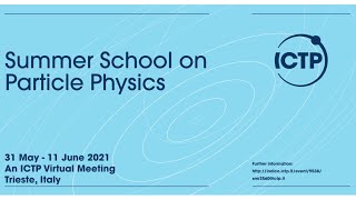Summer School on Particle Physics | (smr 3560) - Day 3 h17:00