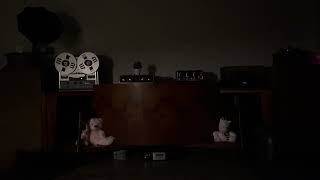 JBL Paragon 