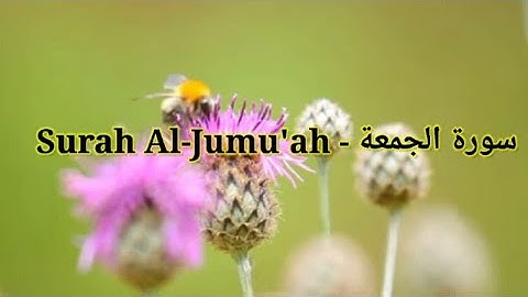 Surah Al-Jumu'ah - سورة الجمعة