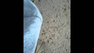 VID 20110427 112611