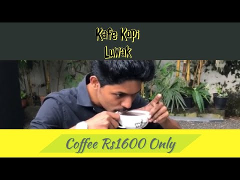 Kafe Kopi Luwak