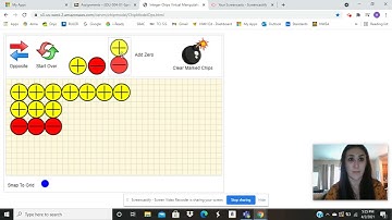 Integer Performance Task