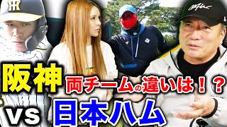 【新庄監督初陣飾る!!】高木豊が感じた日本ハムの「ジグザグポジションの意図」と今年の阪神タイガースの仕上がり【プロ野球ニュース】