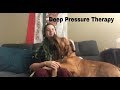 How I Trained Deep Pressure Therapy (DPT) How I Trained Deep Pressure Therapy (DPT)