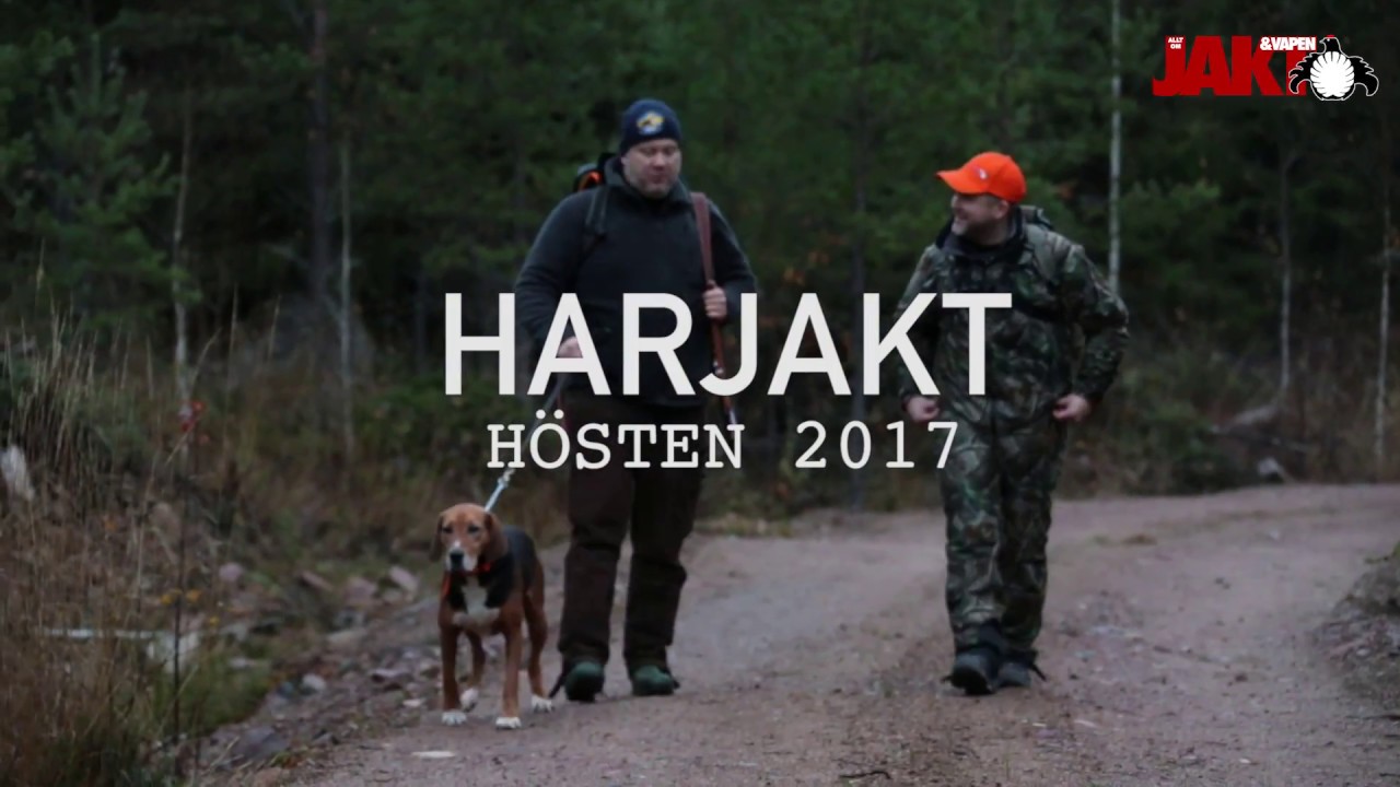 Allt Om Jakt Och Vapen