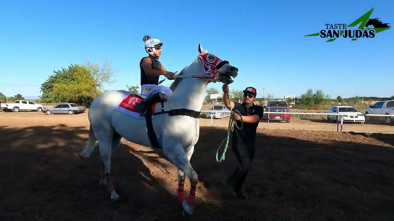 EL PELICANO VS LA REINA SOFIA 14 FEBRERO 2026