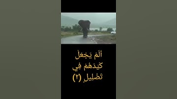 تلاوه جميله بصوت خشوع للقارى غالب جسار