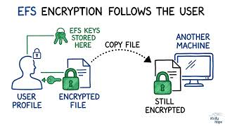 File-Level Encryption and EFS Key Storage | CompTIA Security+ SY0-701