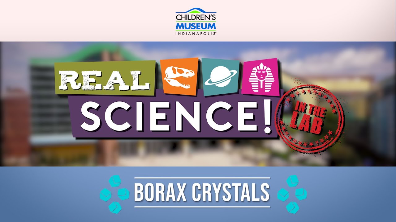 Real Science! Borax Crystals | Museum at Home