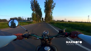 Sunset Light Through the Tree Canopy | Suzuki st250 | DJI OSMO ACTION 5 PRO