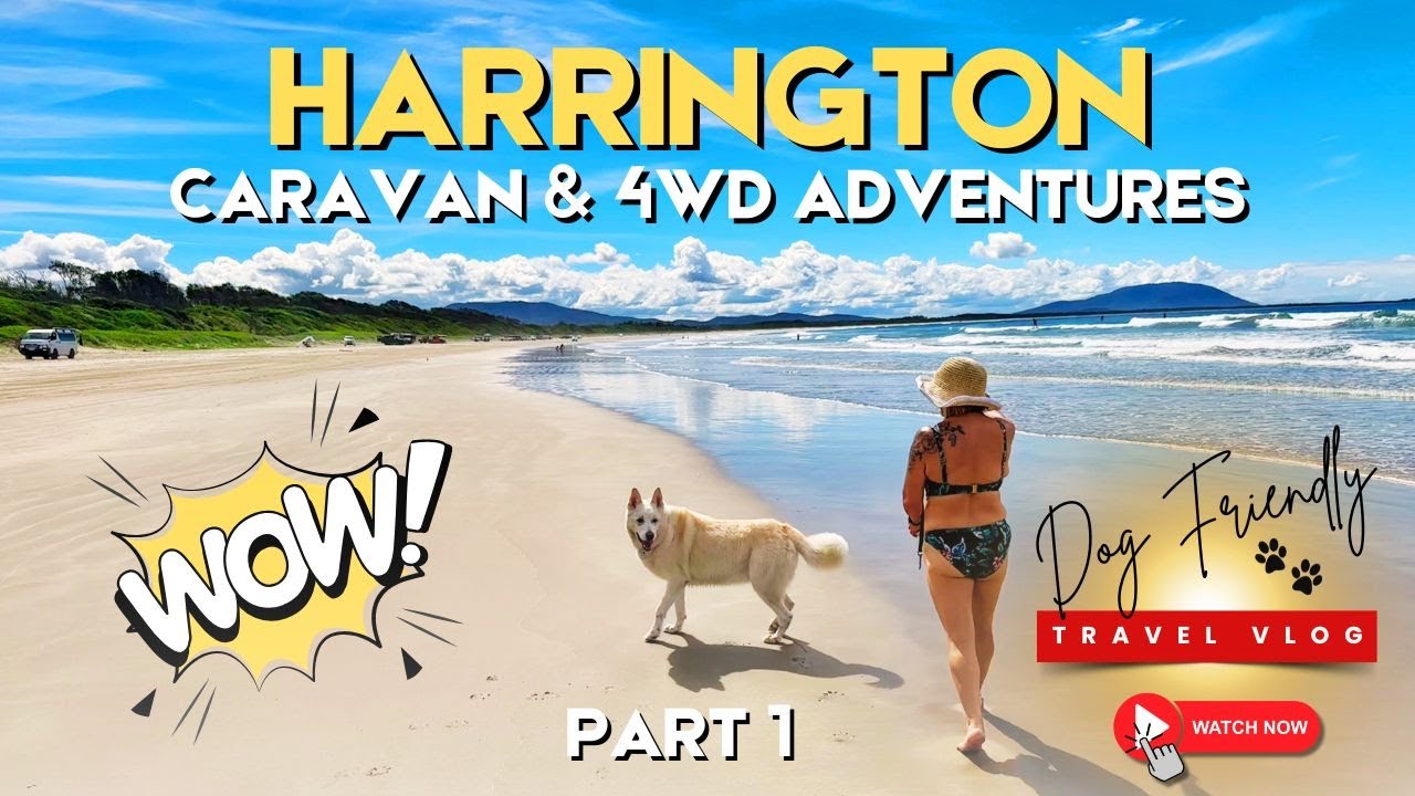 Our Incredible Harrington Dog Friendly Caravan and Four Wheel Drive Adventures (Part One)