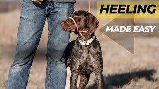 How To Stop Your Dog PULLING On The Leash