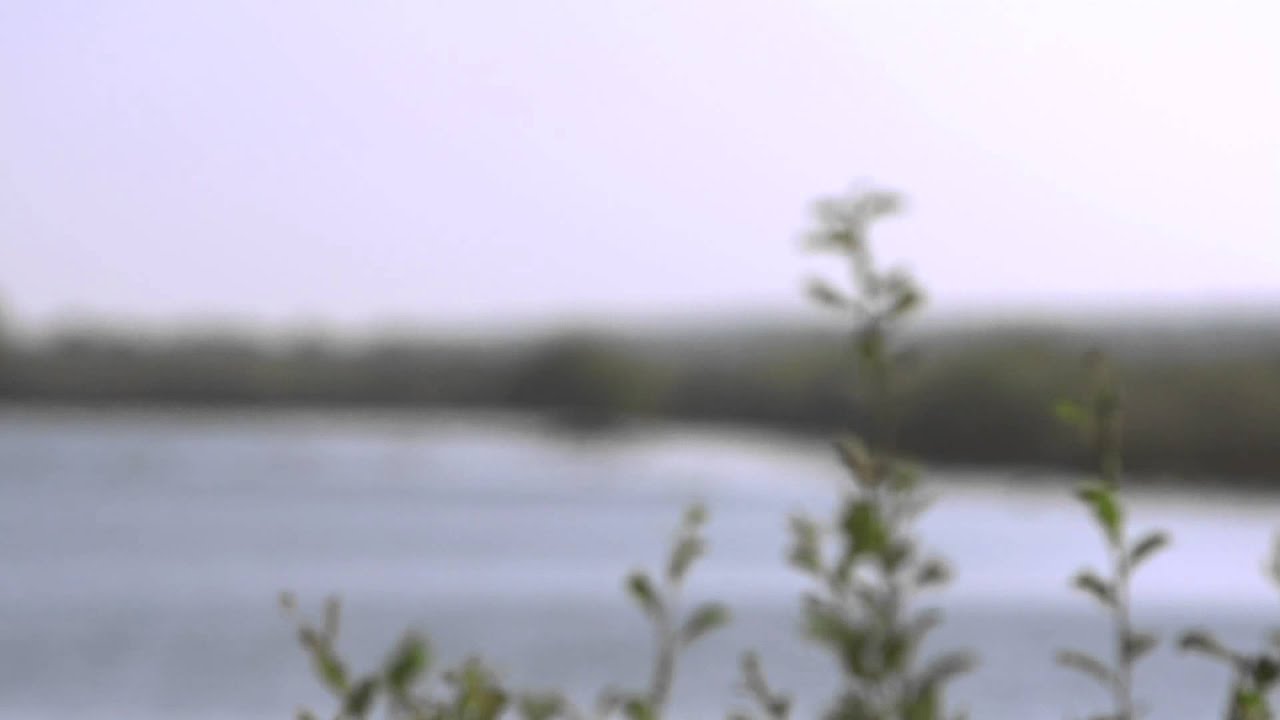 Waterschap Vechtstromen: Natuurliefhebber