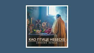 Митрополит Фотије - Као Птице Небеске 2025 Вокал - Протођакон Ненад Новић