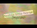 Feeble little horse  steamroller official audio
