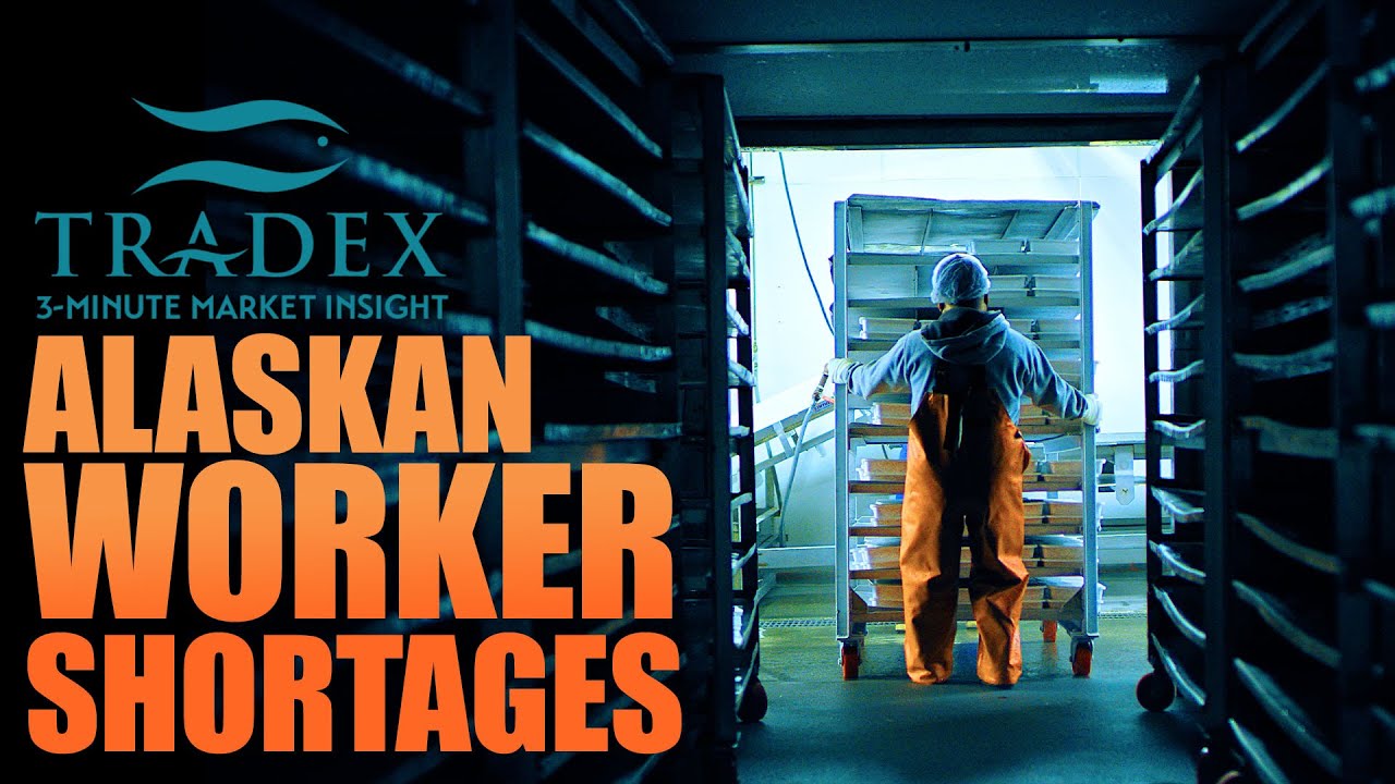 3MMI - Alaska Worker Shortage, Effects on the Salmon Market This Year