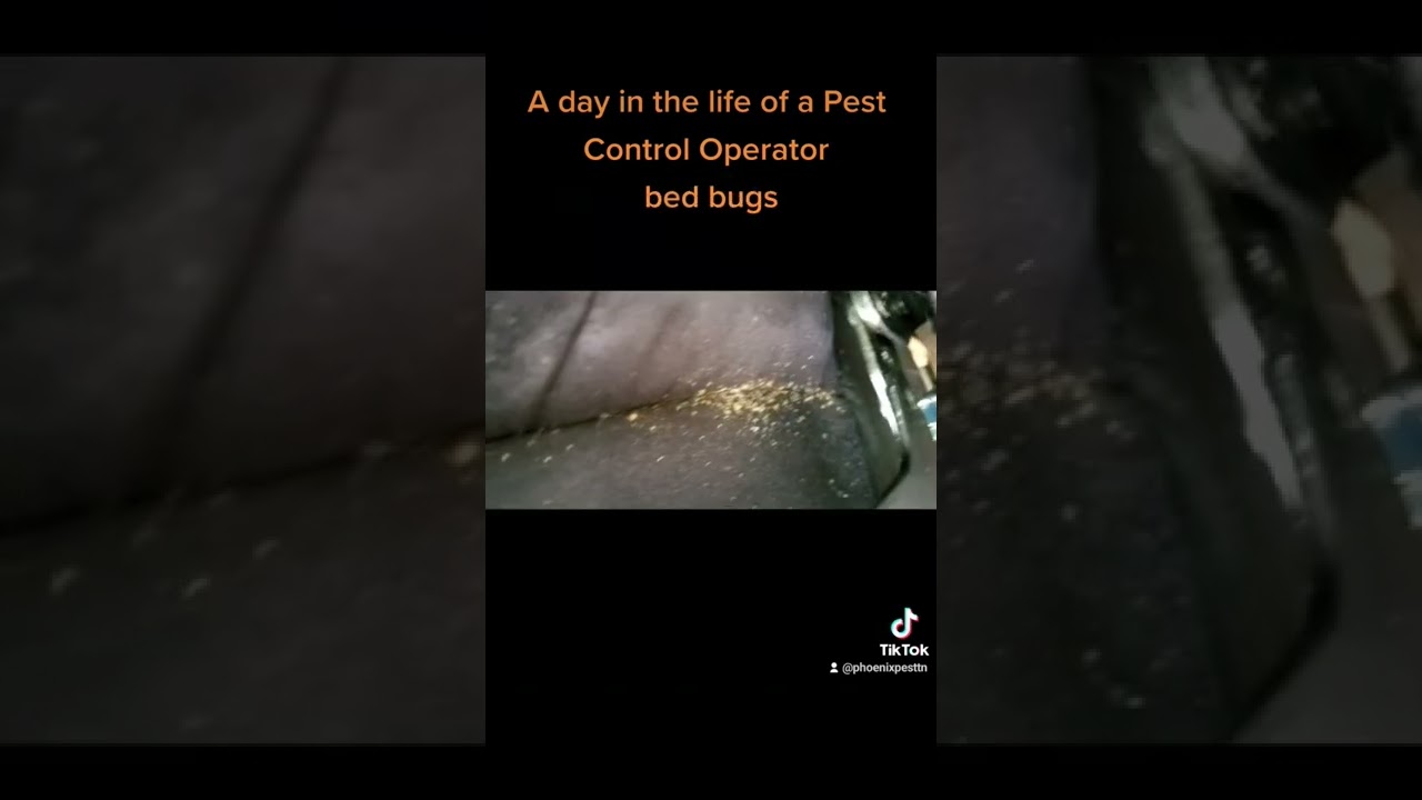 16 A day in the life of a Pest Control Operator 