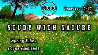 📚3-HOUR STUDY TIMER | Hyper Efficient Focus Sunny Ambient 🕒NATURE POMODORO 25/5 🌿 Soothing Sounds