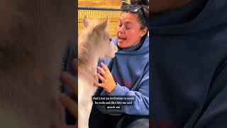 Throwback! Baby mini horse Squirt chooses violence every chance he gets