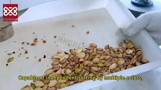 Pistachio Color Sorter