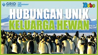 Fakta Menarik - 5 Hewan yang Membentuk Hubungan Keluarga dengan Unik