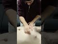 CHEST ASMR RELAX MASSAGE #shortvideo #massage #relax #sleepsolution #chest #chiropractor