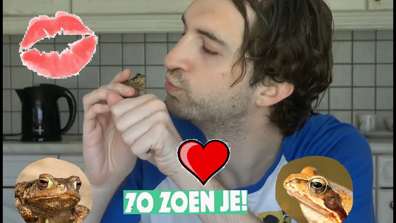 ANIMALIA - Bruine kikker kussen tot prinses?