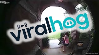 Little Girl Picks Up Flag After a Storm Knocked It Down || ViralHog