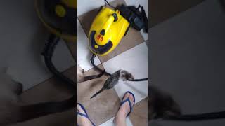Funcionamento Do Vaporeto Intech Para Cliente Andre Luiz Mlivre