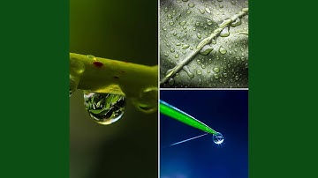 Remarkable Autumn Vibing