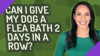 Can I give my dog a flea bath 2 days in a row?