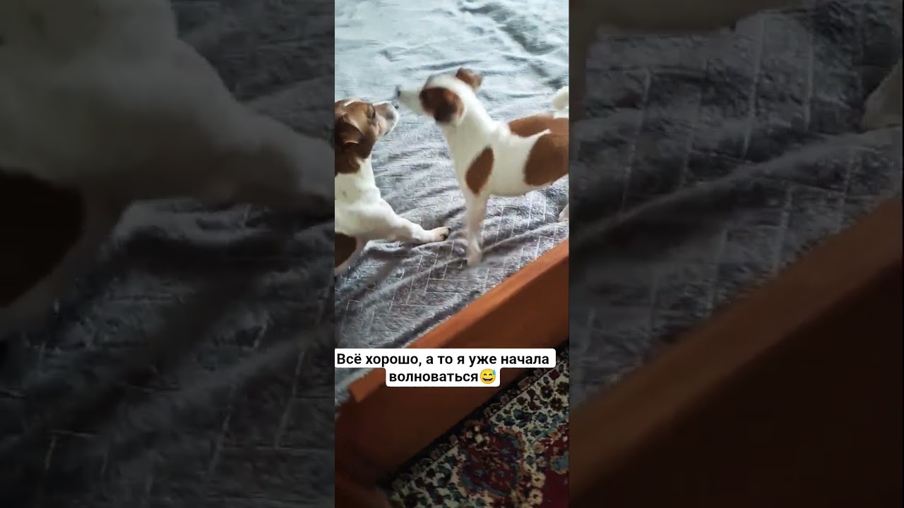 баловство в порядке😅 