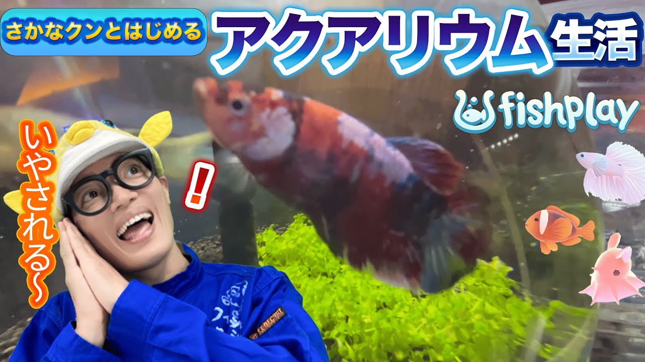さかなくん☆ maxresdefault.jpg