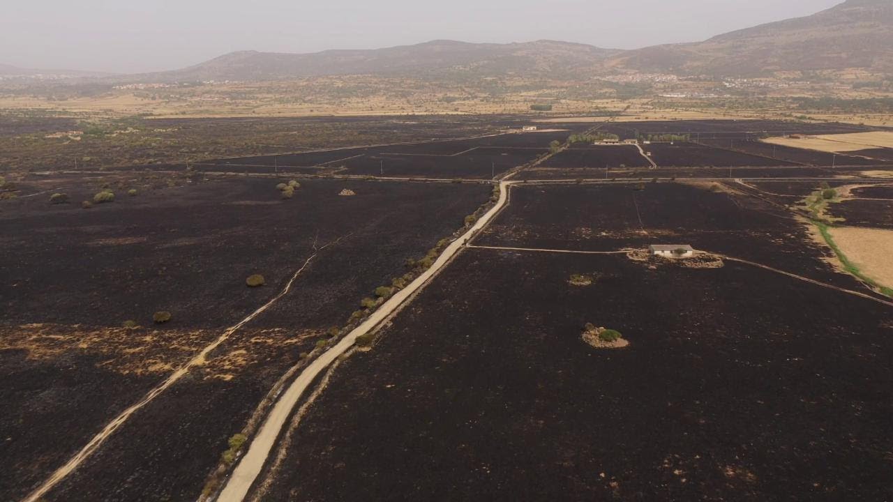 Incendi in Sardegna, le campagne sono divorate dal fuoco: le immagini dal drone