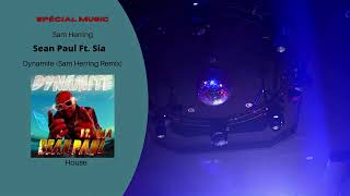 Sean Paul Ft. Sia (Sam Herring) - Dynamite (Sam Herring Remix) - House